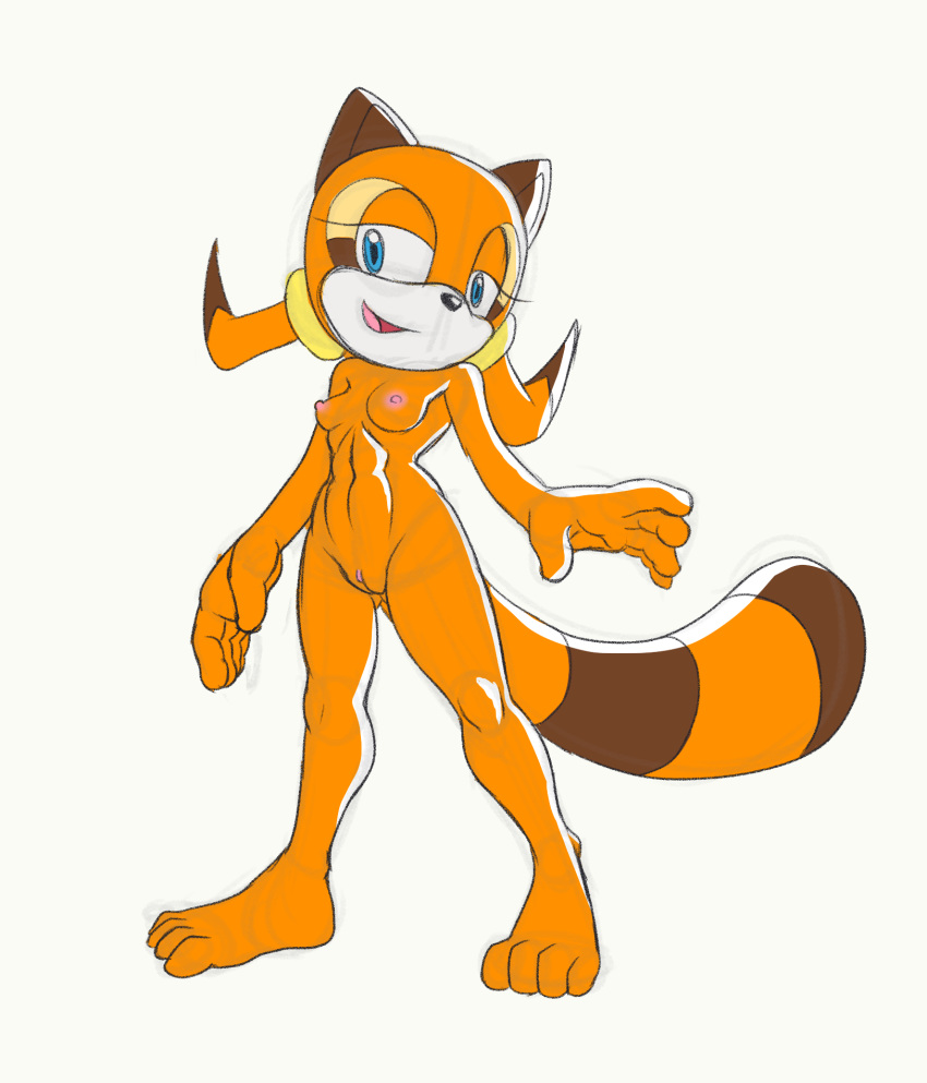 anthro breasts female fours_(artist) fur genitals hi_res mammal marine_the_raccoon orange_body orange_fur pigtails procyonid pussy raccoon sketch small_breasts solo sonic_the_hedgehog_(series)