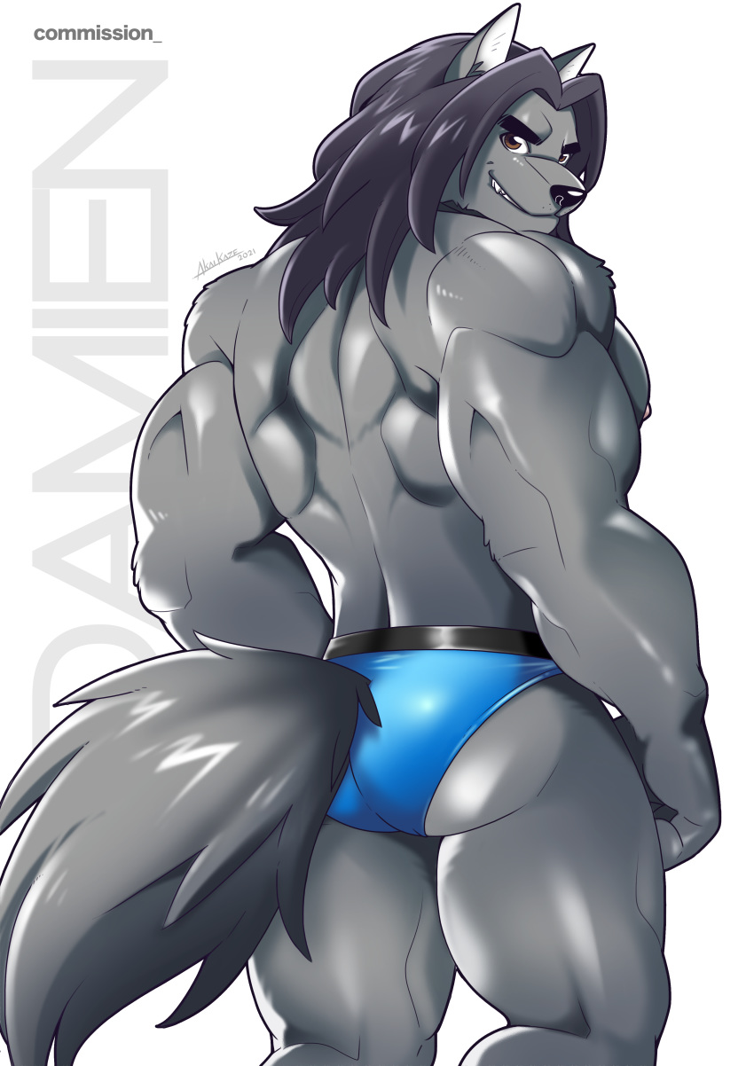 absurd_res akai.kaze anthro big_muscles black_nose blue_clothing blue_underwear brown_eyes butt canid canine canis clothing damien_hayabusa fur grey_body grey_fur hair hi_res long_hair male mammal mature_male muscular muscular_anthro muscular_male nipples rear_view signature smile solo text thick_thighs underwear wolf