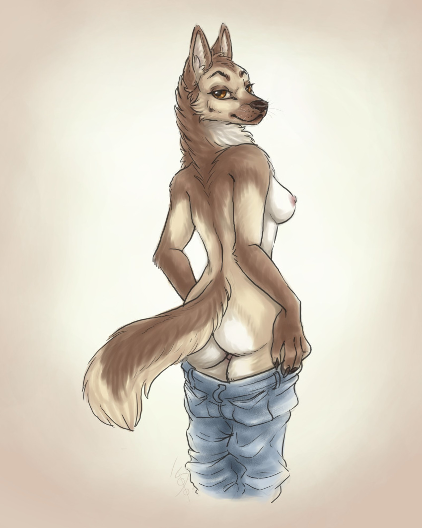 2021 4:5 anthro black_nose bottomwear breasts brown_body brown_eyes brown_fur butt canid canine canis clothed clothing denim denim_clothing digital_media_(artwork) domestic_dog female foxjump fur german_shepherd herding_dog hi_res inner_ear_fluff jeans kirsten_odessa looking_at_viewer looking_back mammal multicolored_body multicolored_fur nipples nude pants partially_clothed pastoral_dog rear_view s00t side_boob smile solo tan_body tan_fur tuft undressing whiskers white_body white_fur