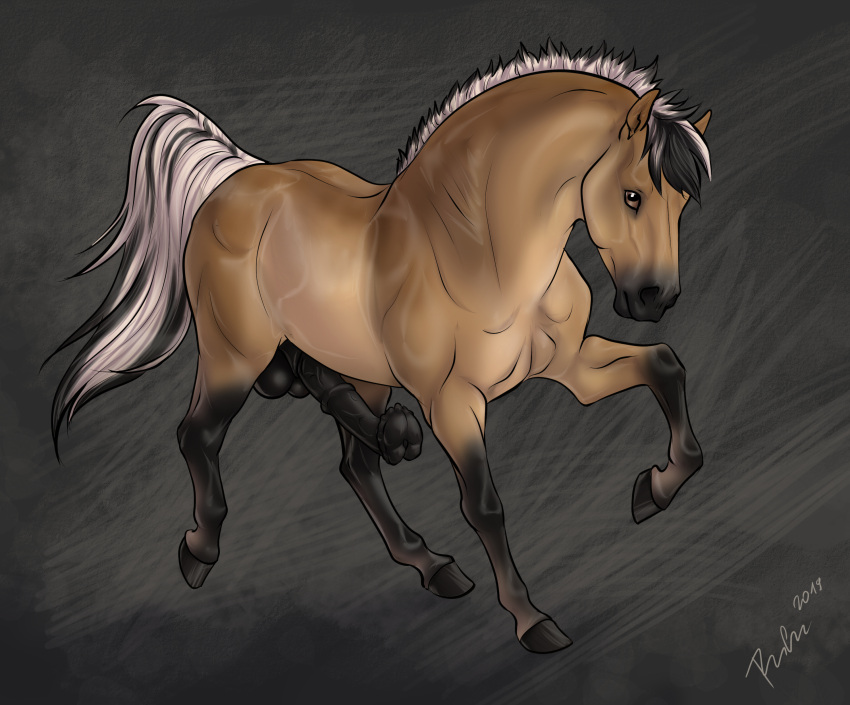 absurd_res anatomically_correct anatomically_correct_genitalia anatomically_correct_penis animal_genitalia animal_penis arvakr balls draft_horse equid equine equine_penis erection feral fjord_horse flare_(disambiguation) flared_penis fur genitals hair hi_res hooves horse male mammal penis rufciu simple_background solo tan_body tan_fur