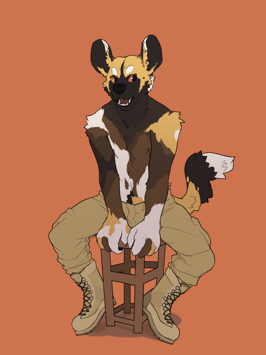 african_wild_dog anthro big_ears big_fingers big_hands black_nose boots bottomwear canid canine cargo_pants chest_tuft clothed clothing fari_paredes fluffy fluffy_tail footwear fur_pattern furniture hi_res looking_away male mammal nipples open_mouth orange_eyes pants paperclip_(artist) pubes sitting solo stool teeth topless tuft