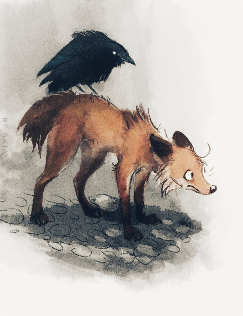 ambiguous_gender avian bird black_body black_feathers brown_body brown_fur canid canine claws corvid corvus_(genus) digitigrade duo ears_back feathers feral finger_claws fox fur hi_res mammal orange_body orange_fur oscine passerine pivoted_ears quadruped raven size_difference skia toe_claws