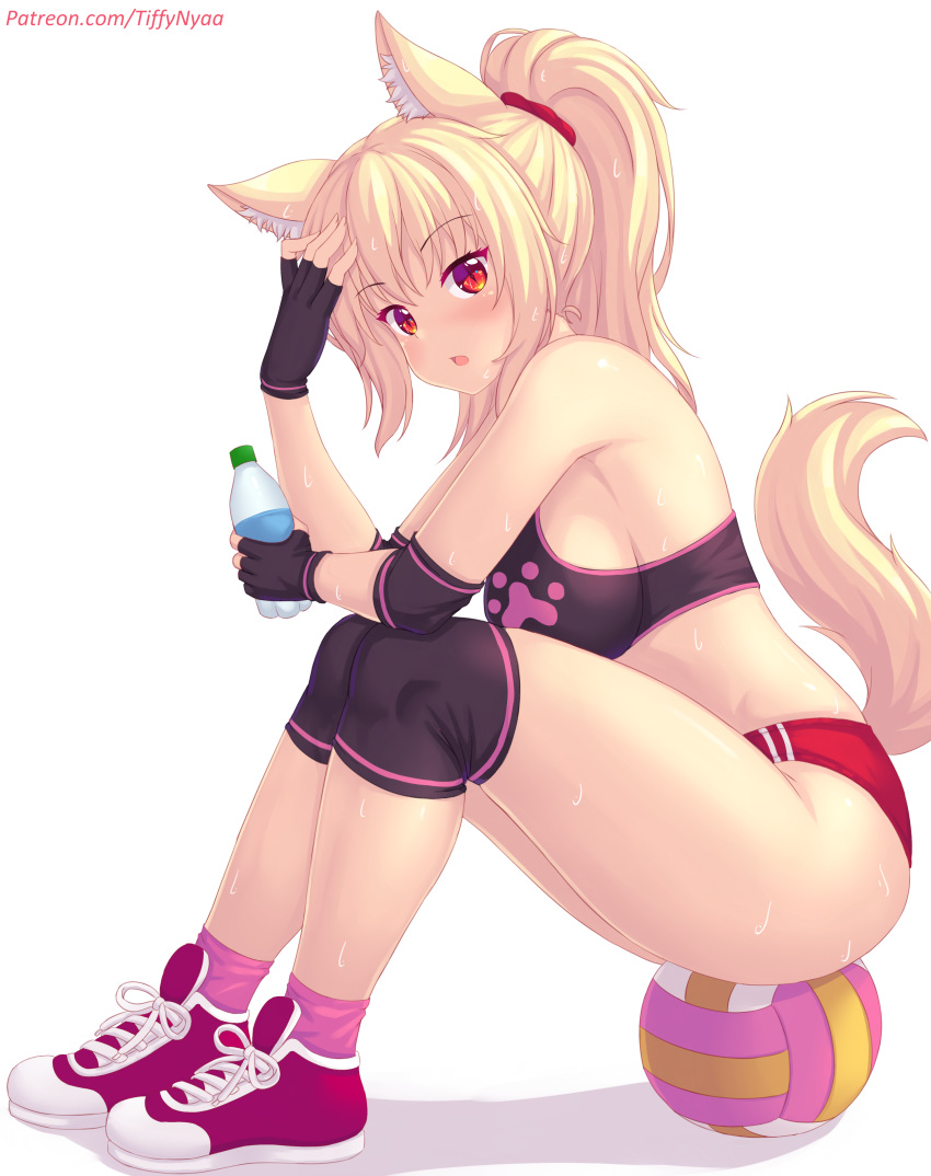 animal_ears buruma fast-runner-2024 gym_uniform tagme tail tiffy wet