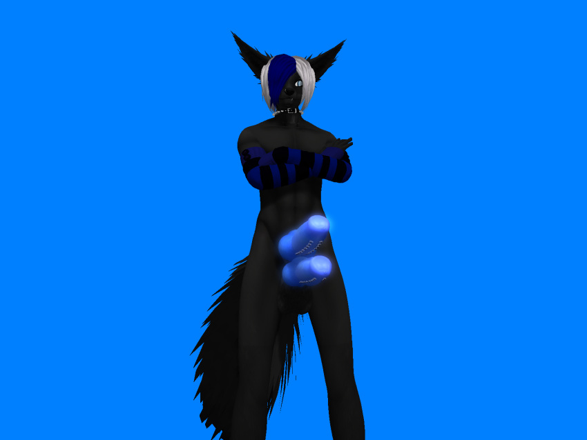 4:3 animal_genitalia animal_penis anthro arm_warmers armwear balls big_ears black_body black_fur blue_eyes blue_hair canid canine canine_penis canis clothing collar crossed_arms diphallism fluffy fluffy_ears fluffy_tail fur genitals glowing glowing_genitalia glowing_penis hair hi_res ishbacko knot ladder_piercing looking_at_viewer male mammal multi_genitalia multi_penis penis second_life solo studded_collar white_hair wolf