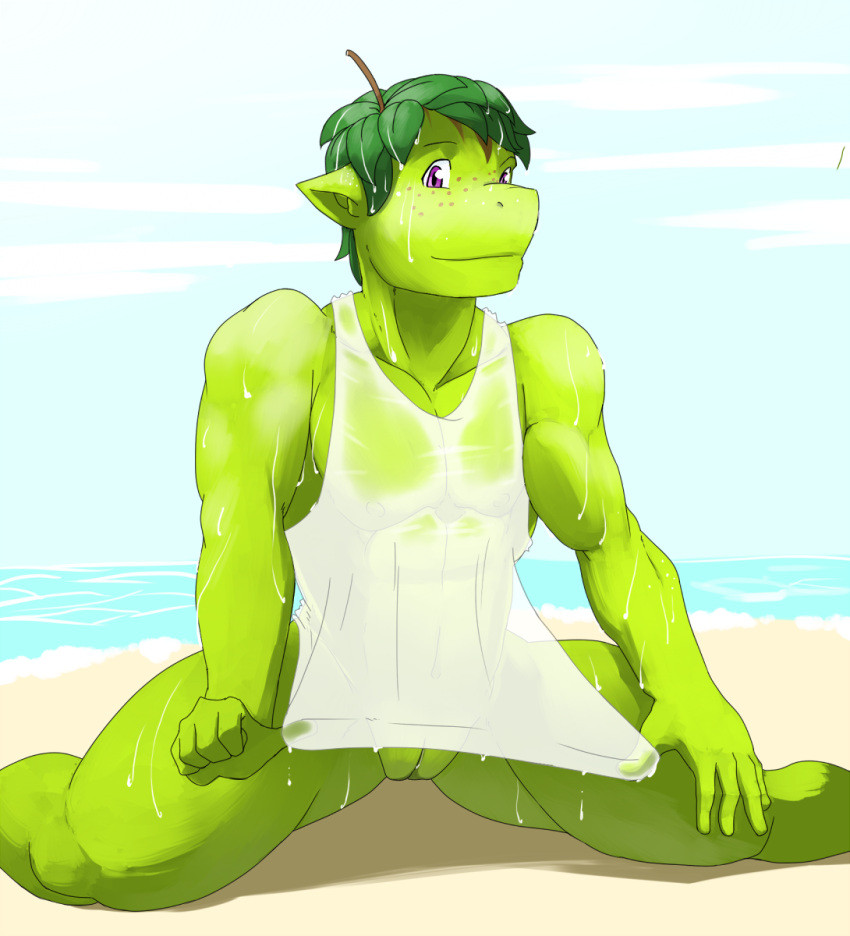 2016 abs andromorph anthro apple athletic athletic_anthro athletic_male beach biceps bottomless clothed clothing colored crispin_(geng) detailed_background dragon dripping elemental_creature flora_fauna food food_creature fruit fruit_dragon geng genitals green_body green_skin hi_res intersex leaf leaf_hair living_fruit looking_at_viewer male muscular_thighs pecs plant plant_hair pseudo_hair purple_eyes pussy sand sea seaside shaded shirt shirt_only smile solo stem topwear topwear_only translucent translucent_clothing tugging_clothing water water_drop wet wet_clothing wet_shirt wet_topwear