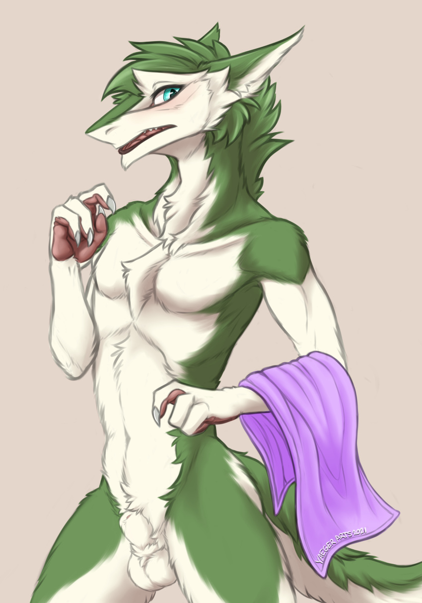 absurd_res animal_genitalia anthro balls blush dressing embarrassed fluffy genitals hi_res keel male pin_(pinpineapplepin) sergal sheath slim solo surprise towel towel_only yaegerarts