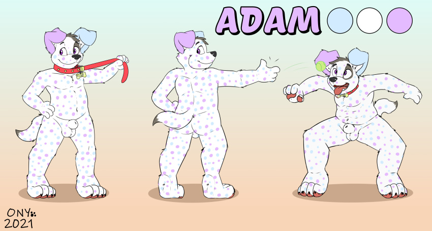 absurd_res adam animal_genitalia anthro ball canid canine canis collar dalmatian domestic_dog genitals hi_res male mammal model_sheet nude onykr paws sheath solo spots young