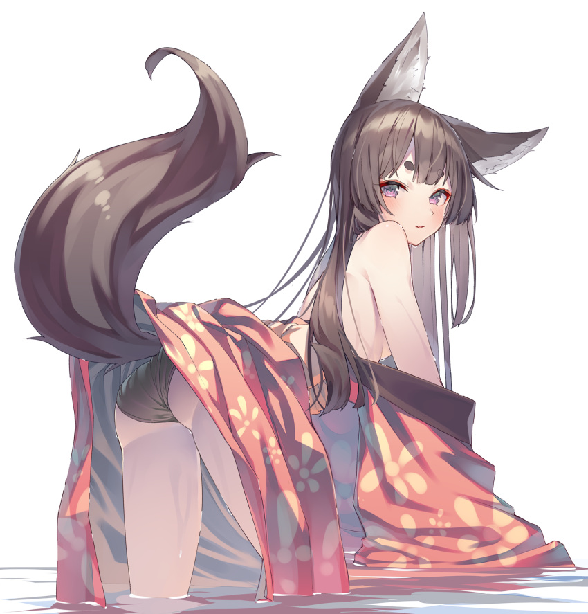 1girl all_fours animal_ear_fluff animal_ears ass bare_shoulders black_panties blush breasts brown_eyes brown_hair clothes_lift fox_ears fox_girl fox_tail from_behind highres japanese_clothes kimono kimono_lift long_hair looking_at_viewer looking_back off_shoulder original panties red_kimono shiro_youduki simple_background solo tail thighs underwear water wet wet_kimono