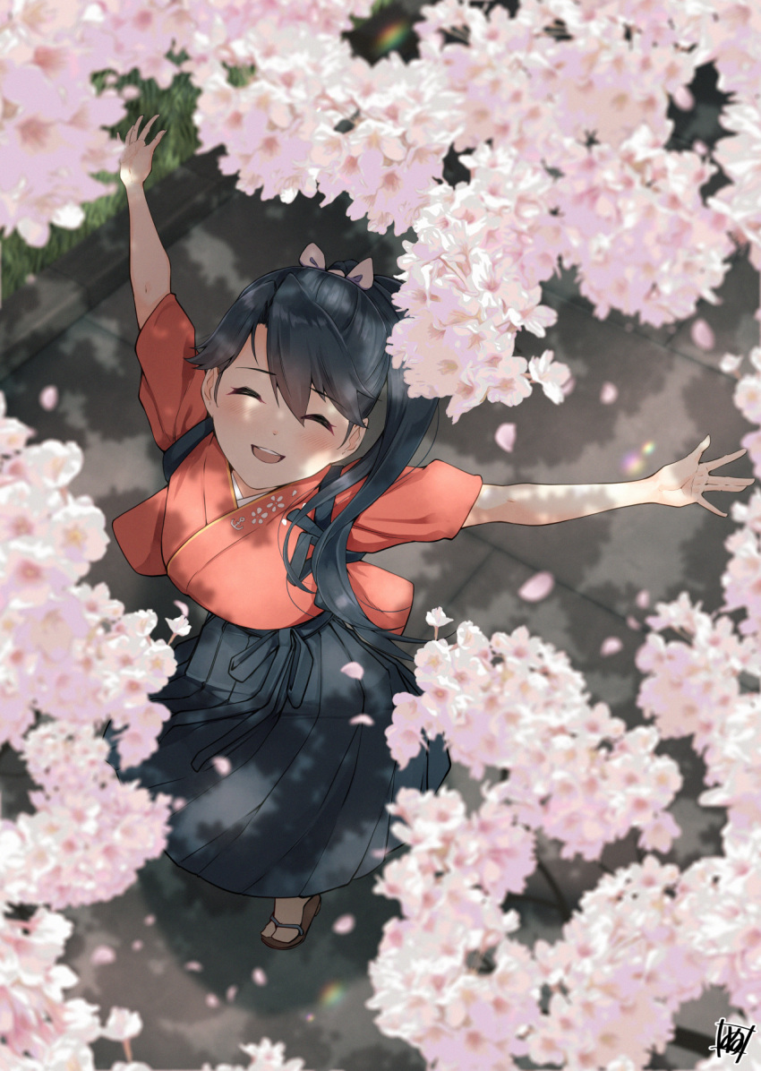 1girl black_hair black_hakama cherry_blossoms from_above hair_ribbon hakama hakama_skirt highres houshou_(kancolle) houshou_kai_ni_(kancolle) japanese_clothes kantai_collection kimono long_hair open_mouth outstretched_arms pink_kimono ponytail ribbon round_teeth sandals skirt smile solo spread_arms tabi tadokoro_nurikabe tasuki teeth upper_teeth_only white_ribbon zouri