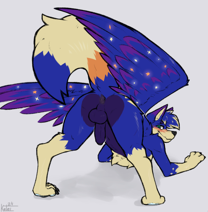 2024 4_claws 4_fingers 4_toes anthro anus back_wings backsack balls biped black_anus black_claws blue_balls blue_body blue_fur blue_pawpads blue_penis blue_tail blue_wings blush blush_lines butt butt_focus canid canine canis chest_tuft claws colored_sketch digital_drawing_(artwork) digital_media_(artwork) digitigrade duo embarrassed erection feathered_wings feathers feet finger_claws fingers foreskin fox fur genitals green_eyes hi_res humanoid_genitalia humanoid_penis hybrid jack-o'_pose ketei long_tail looking_at_viewer looking_back looking_back_at_viewer male mammal monotone_background multi_tone_fur multicolored_body multicolored_fur multicolored_wings nude nude_anthro nude_male orange_body orange_fur pawpads penis perineum pose presenting presenting_anus presenting_hindquarters purple_body purple_fur raised_tail rear_view red_blush simple_background sketch solo tail tan_body tan_fur three-quarter_view toe_claws toes tuft two_tone_wings white_background wings wolf