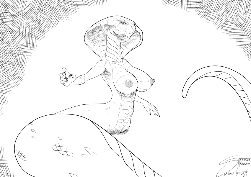 2021 agent_torque anthro apode big_breasts black_and_white breasts draconcopode female hi_res legless line_art long_tail looking_at_viewer monochrome naga nipples non-mammal_breasts nude reptile sabrotiger scales scalie serpentine snake solo video_games viper_(x-com) x-com x-com:_chimera_squad