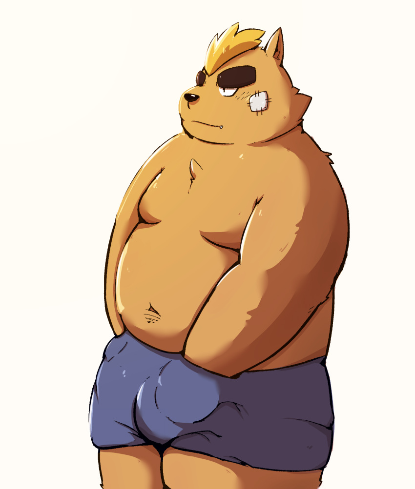 2021 anthro belly bottomwear brown_body brown_fur bulge canid canine canis clothing domestic_dog fur hi_res kemono male mammal mekko_rarekko navel overweight overweight_anthro overweight_male re_jin37 shorts simple_background solo white_background yamano_taishou