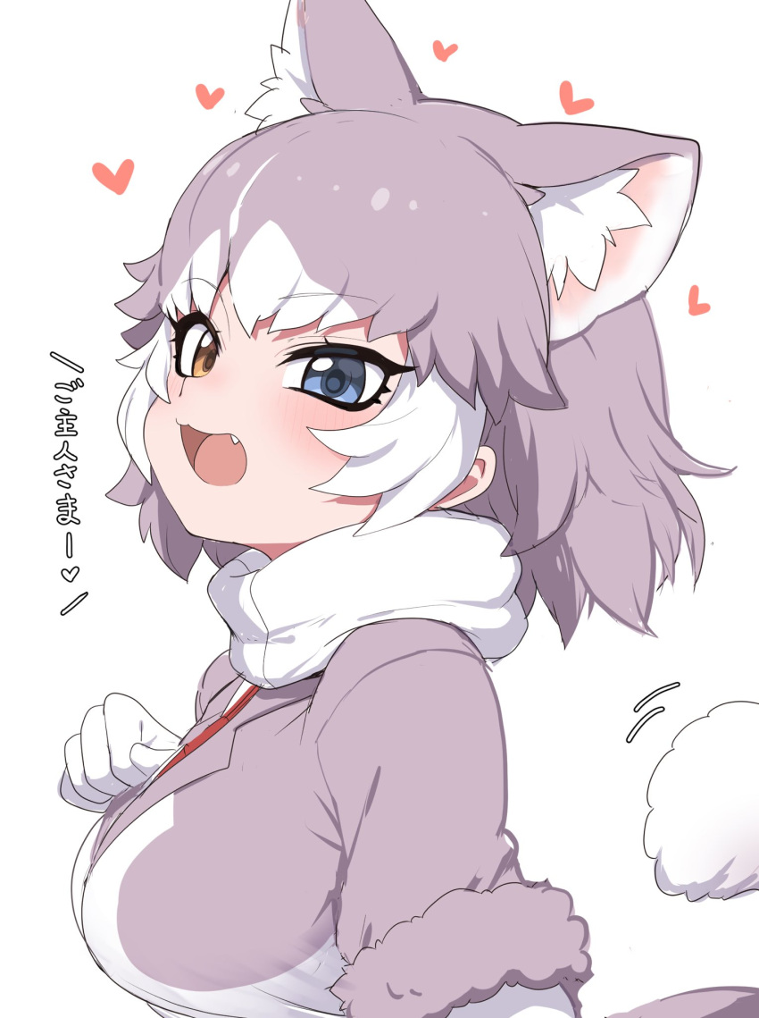 1girl :3 animal_ears blue_eyes commentary_request dog_(mixed_breed)_(kemono_friends) dog_ears dog_girl dog_tail extra_ears fang fur_trim grey_fur grey_hair grey_jacket harness heart heterochromia highres jacket kemono_friends multicolored_hair open_mouth profile ransusan scarf short_hair short_sleeves solo tail translation_request two-tone_hair upper_body white_hair white_neckwear yellow_eyes