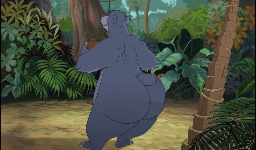 anthro baloo big_butt bootiesforlife bubble_butt butt claws coconut disney drupe_(fruit) feral flower food fruit holding_food holding_object huge_butt jungle jungle_book male mammal plant rear_view solo tree ursid wide_hips