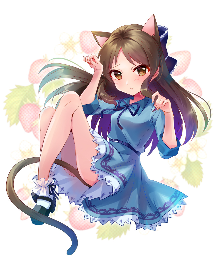 1girl absurdres animal_ear_fluff animal_ears arm_up bangs black_footwear blue_bow blue_dress blue_ribbon blush bow breasts brown_eyes brown_hair cat_day cat_ears cat_girl cat_tail closed_mouth collared_dress commentary_request dress eyebrows_visible_through_hair floating_hair food food_themed_background fruit full_body hair_bow hand_up highres idolmaster idolmaster_cinderella_girls idolmaster_cinderella_girls_starlight_stage kemonomimi_mode long_hair long_sleeves looking_at_viewer neck_ribbon parted_bangs paw_pose ribbon sakura_ran shoes small_breasts socks solo strawberry tachibana_arisu tail very_long_hair white_legwear