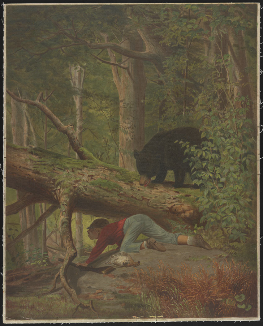 1872 19th_century absurd_res amazing_background ambiguous_gender american_black_bear anatid ancient_furry_art anseriform ass_up avian barefoot being_watched biped bird black_bear black_body black_fur bottomwear branch brown_body brown_clothing brown_feathers brown_footwear brown_fur brown_hat brown_headwear brown_shoes clothed clothing corpse countershading crawling death denim denim_clothing detailed_background duck duo_focus feathers feet feral flat_cap footwear forest fur grass group gun hat headgear headwear hi_res huge_filesize human imminent_rape ivy_(plant) jeans leaf light_body light_skin lithograph log looking_at_another male mammal moss multicolored_body multicolored_fur nature open_mouth outside pants paws plant public_domain quadruped ranged_weapon red_clothing red_shirt red_topwear rifle shadow shirt shoes signature socks standing tongue tongue_out topwear traditional_media_(artwork) tree trio two_tone_body two_tone_fur ursid ursine weapon white_body white_clothing white_countershading white_feathers white_footwear white_socks william_holbrook_beard wood