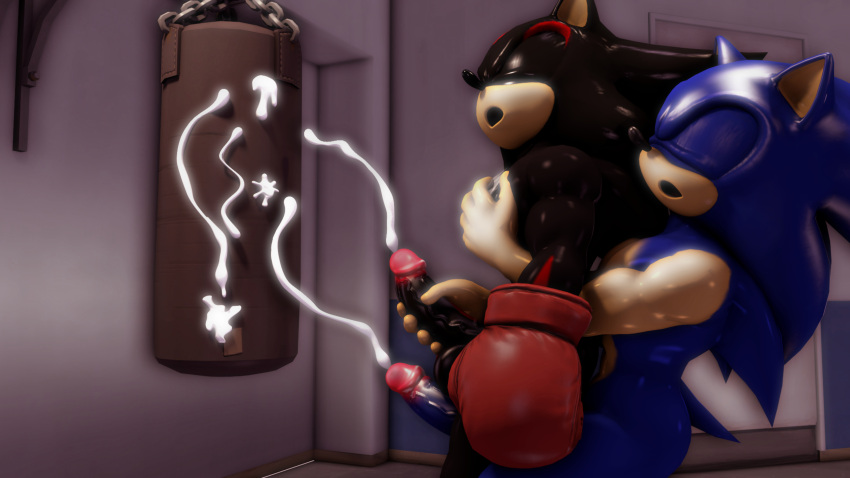 3d_(artwork) absurd_res bodily_fluids boxing_gloves clothing cum cumshot digital_media_(artwork) duo ejaculation erection exercise genital_fluids genitals gym handjob handwear hi_res looking_pleasured male male/male muscular muscular_male penile penis punching_bag sex shadow_the_hedgehog sonic_the_hedgehog sonic_the_hedgehog_(series) sonicthebitch source_filmmaker thigh_sex workout