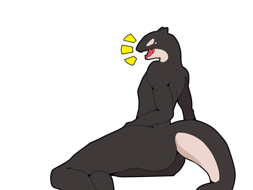 4:3 alpha_channel animal_humanoid anthro black_body cetacean cetacean_humanoid cute_face delphinoid erzafluff flat_texture girly happy hi_res humanoid line_art male mammal marine marine_humanoid oceanic_dolphin orca orca_humanoid simple_background slightly_chubby solo toothed_whale