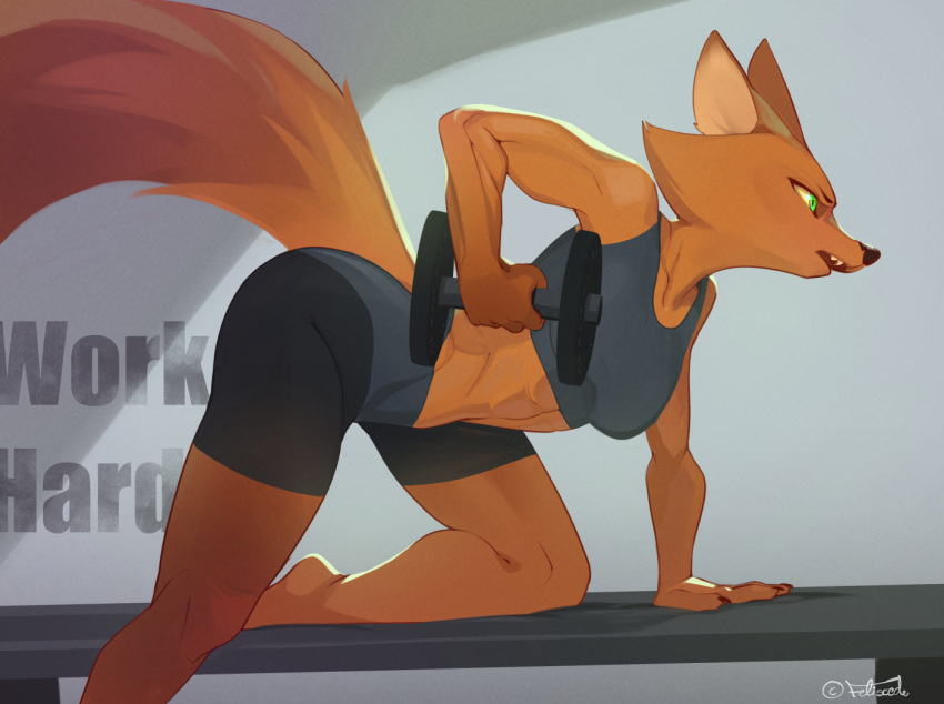 2021 abs anthro biceps bra brutal_paws_of_fury canid canine clothing exercise feliscede female fox foxy_roxy fur green_eyes mammal midriff muscular muscular_anthro muscular_female orange_body orange_fur solo sports_bra sportswear underwear video_games weightlifting weights workout yellow_sclera