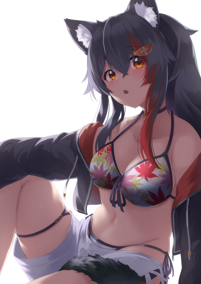 1girl :o animal_ears arm_rest bangs bell bikini black_collar black_hair black_jacket blush breasts collar collarbone enatsu eyebrows_visible_through_hair front-tie_bikini front-tie_top groin hair_between_eyes hair_ornament hairclip halterneck highlights highres hololive jacket knee_up leaf_print long_hair looking_at_viewer medium_breasts multicolored_hair navel neck_bell ookami_mio open_clothes open_jacket open_mouth orange_eyes shorts side-tie_bikini simple_background solo swimsuit tail thigh_strap virtual_youtuber white_background white_bikini white_shorts wolf_ears wolf_girl wolf_tail