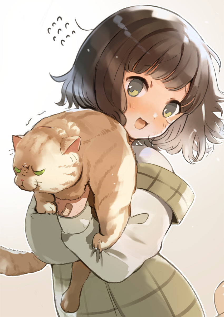 1girl animal bandaid brown_hair cat claws flying_sweatdrops green_eyes highres holding holding_animal holding_cat original scratches short_hair tasuku_(otomebotan)