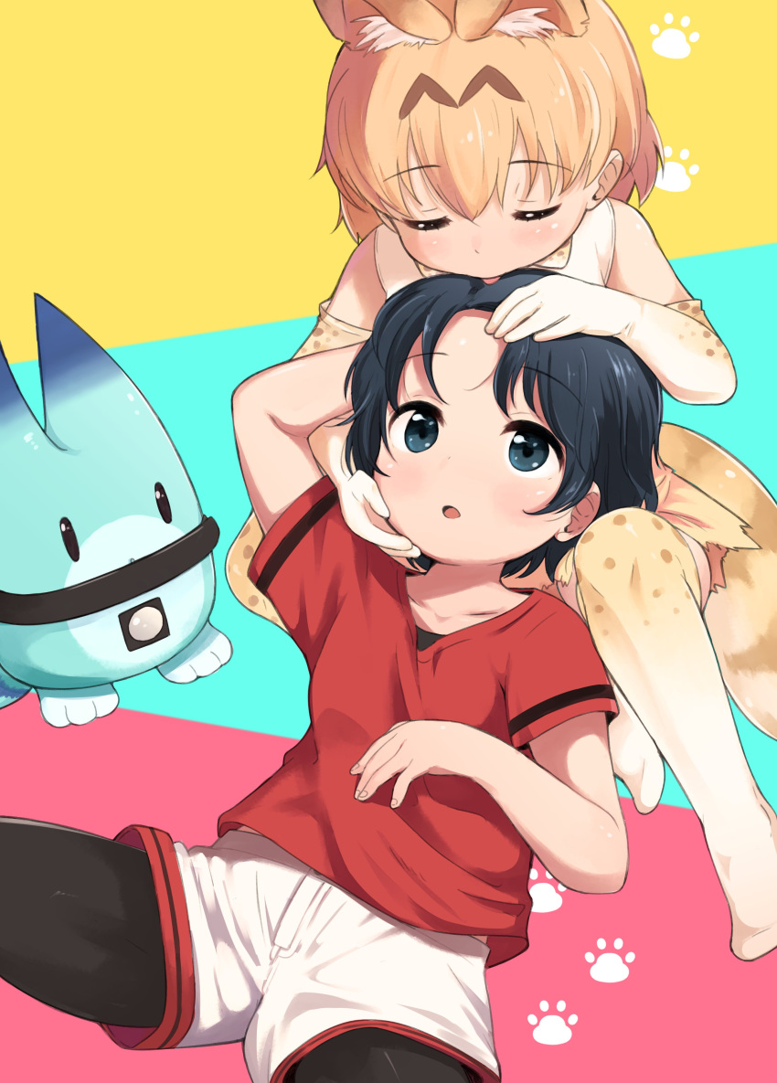 2girls absurdres animal_ears aqua_background black_hair black_legwear cat_day closed_eyes collarbone elbow_gloves extra_ears eyebrows_visible_through_hair gloves hand_on_another's_face hand_on_another's_head highres kaban_(kemono_friends) kemono_friends legwear_under_shorts licking licking_hair lucky_beast_(kemono_friends) multicolored multicolored_background multiple_girls nekopantsu_(blt) no_shoes open_mouth orange_hair pantyhose pink_background print_gloves print_legwear red_shirt serval_(kemono_friends) serval_ears serval_print serval_tail shirt short_hair shorts sleeveless sleeveless_shirt tail thighhighs tongue tongue_out white_background white_shirt white_shorts yellow_background yuri zettai_ryouiki