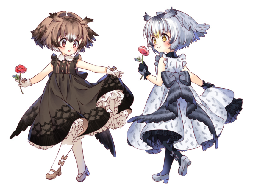 2girls :&gt; :o adapted_costume alternate_costume alternate_eye_color animal_print back_bow bangs bare_arms bird_wings black_gloves black_legwear blush bow bright_pupils brown_bow brown_dress brown_footwear brown_hair closed_mouth collared_dress dot_nose dress eurasian_eagle_owl_(kemono_friends) eyebrows_visible_through_hair feathered_wings flower frilled_gloves frilled_shirt_collar frilled_sleeves frills from_behind from_side full_body glove_bow gloves gradient_hair grey_bow grey_footwear grey_hair hair_between_eyes hand_up head_wings holding holding_flower kemono_friends leaf leg_up light_brown_hair looking_at_another looking_down looking_to_the_side mary_janes multicolored_hair multiple_girls northern_white-faced_owl_(kemono_friends) open_mouth outstretched_arm outstretched_arms pantyhose petticoat print_bow print_dress red_eyes red_flower shoe_soles shoes short_hair simple_background skirt_hold sleeveless sleeveless_dress smile spread_arms sumachii white_background white_dress white_gloves white_hair white_legwear white_pupils wings yellow_eyes