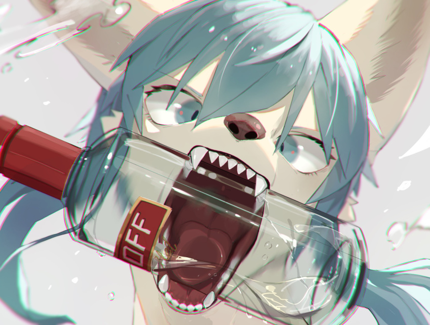 2021 alcohol anthro beverage blue_eyes blue_hair bottle brown_nose canid canine canis chromatic_aberration cross-eyed eipon_tarou fangs fur glass hair headshot_portrait kemono long_hair male mammal object_in_mouth open_mouth portrait pupils sharp_teeth slit_pupils smirnoff solo teeth tongue vodka white_body white_fur wolf