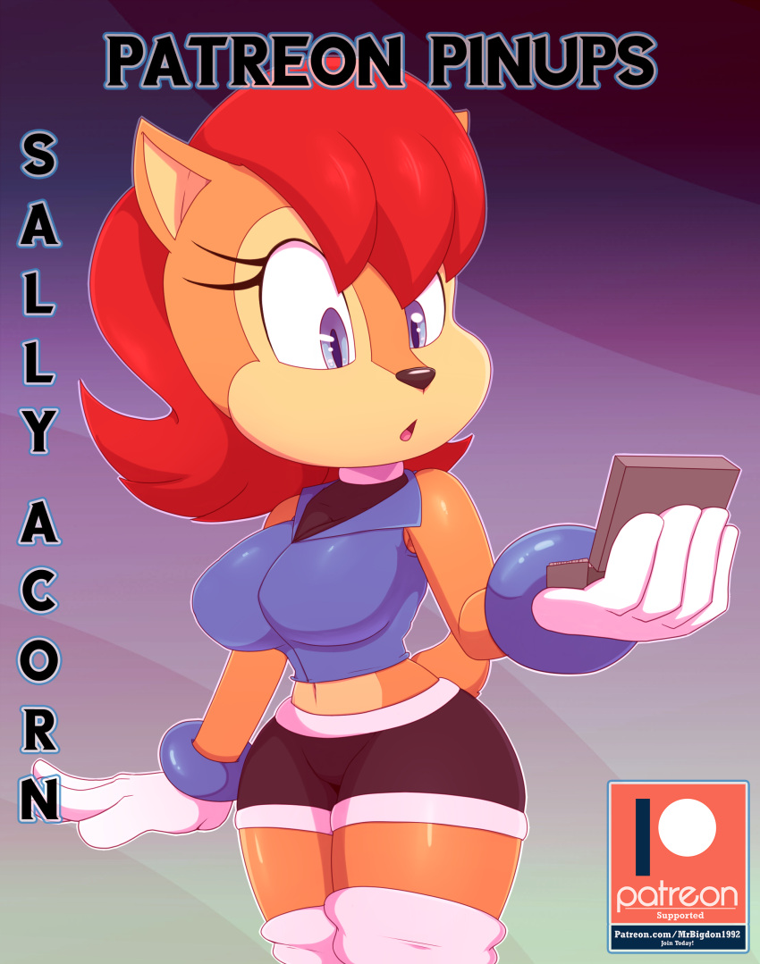 absurd_res anthro archie archie_comics bigdon1992 brown_body brown_fur chipmunk clothed clothing digital_media_(artwork) female fur ground_squirrel hair hi_res mammal patreon patreon_pinups red_hair rodent sally_acorn sciurid solo sonic_the_hedgehog_(archie) sonic_the_hedgehog_(comics) sonic_the_hedgehog_(series)