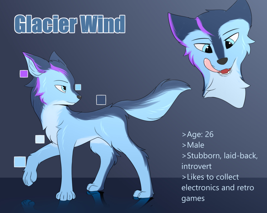 canid canine canis feral glacier_wind hi_res licking male mammal model_sheet solo tongue tongue_out wolf