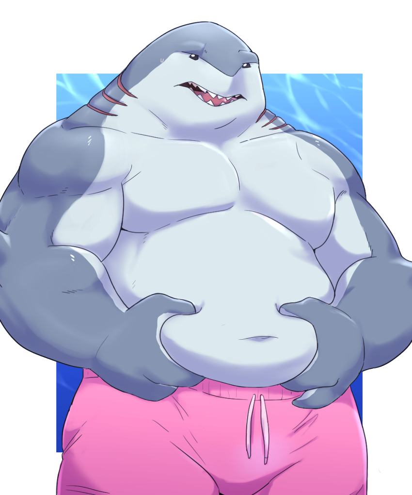 2020 absurd_res anthro belly belly_overhang clothing dc_comics fish hi_res king_shark male marine navel o-ro shark slightly_chubby solo swimming_trunks swimwear