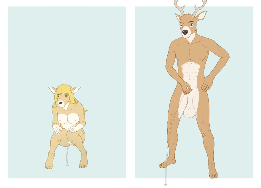 9x9 abs animal_genitalia anthro antlers balls big_balls bodily_fluids breasts cervid cervine crouching duo female genital_fluids genitals hair horn long_hair male mammal nipples nude pecs peeing penis pussy sheath simple_background solo_focus standing urine
