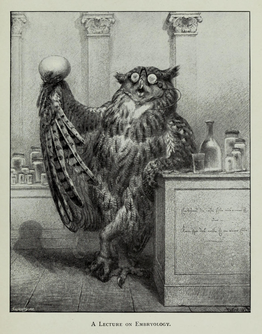 1895 19th_century 4_toes absurd_res ancient_furry_art anthro avian beak biped bird black_body black_feathers bottle claws english_text eyewear feathered_wings feathers feet furniture glasses greyscale hi_res holding_object inside jar joseph_wolf leaning male monochrome multicolored_body multicolored_feathers open_beak open_mouth owl pillar shadow solo standing text toes traditional_media_(artwork) two_tone_body two_tone_feathers wall_(structure) white_body white_feathers wings wood_floor