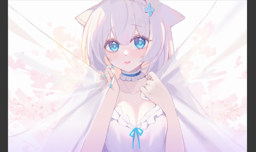 1girl animal_ears bangs blue_choker blue_eyes blue_flower blue_nails blue_ribbon choker claxton_(warship_girls_r) collarbone commentary_request curtain_grab curtains dress eyebrows_visible_through_hair flower frilled_choker frills hair_between_eyes hair_flower hair_ornament hands_up hasu_(velicia) highres looking_at_viewer nail_polish official_art parted_lips pillarboxed ribbon silver_hair solo transparent upper_body warship_girls_r white_dress