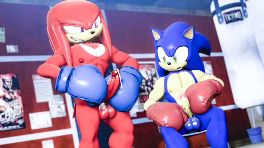 3d_(artwork) balls bodily_fluids boxing_gloves clothing digital_media_(artwork) duo erection genital_fluids genitals gym handwear hi_res knuckles_the_echidna leaking_precum loafsfm male male/male masturbation muscular muscular_male nipples penile penile_masturbation penis precum punching_bag sonic_the_hedgehog sonic_the_hedgehog_(series) source_filmmaker