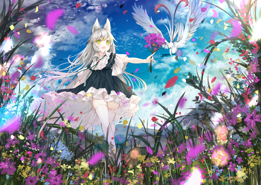 animal animal_ears bird clouds fang flowers gray_hair green_eyes lolita_fashion long_hair original sky thighhighs umi_no_mizu zettai_ryouiki