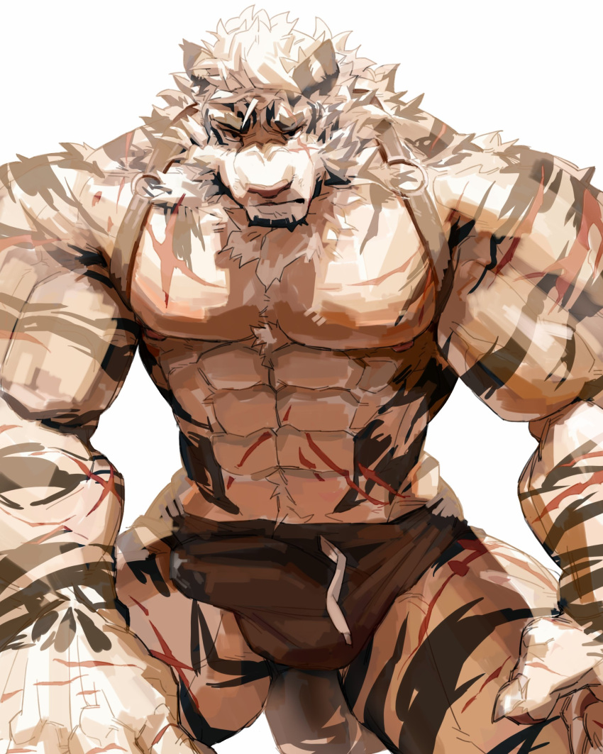 1boy abs absurdres animal_ears arknights bara black_male_underwear briefs bulge cowboy_shot cum cum_in_clothes cum_through_clothes erection erection_under_clothes furry highres large_pectorals looking_at_viewer maiyabuhantang male_focus male_underwear mountain_(arknights) muscular muscular_male navel nipples precum scar scar_across_eye scar_on_arm scar_on_chest scar_on_leg scar_on_stomach short_hair solo stomach tail thick_thighs thighs tiger_boy tiger_ears tiger_tail underwear underwear_only white_fur white_hair