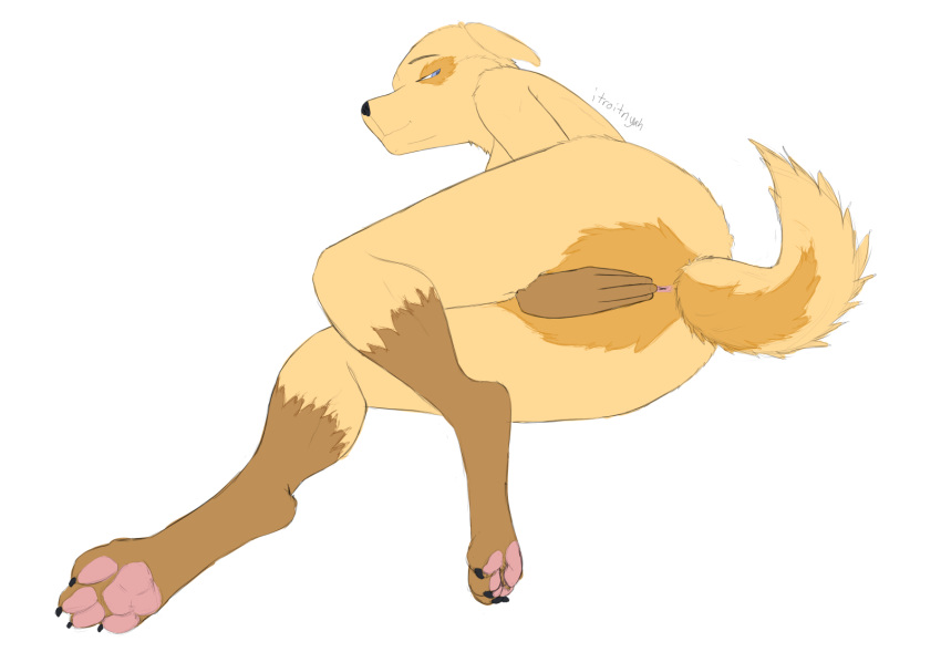 anthro anus barely_visible_anus canid canine covering covering_crotch digitigrade female hi_res itroitnyah looking_at_viewer lying mammal on_side raised_tail simple_background solo
