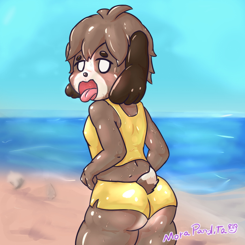 1:1 animal_crossing anthro beach big_butt blush bodily_fluids brown_body brown_fur butt butt_pose canid canine canis clothed clothing digby_(animal_crossing) domestic_dog fur hair hi_res looking_at_viewer looking_back male mammal morapandita nintendo open_mouth outside pose rear_view seaside shih_tzu solo standing sweat swimwear thick_thighs tongue tongue_out toy_dog video_games water white_eyes wide_hips