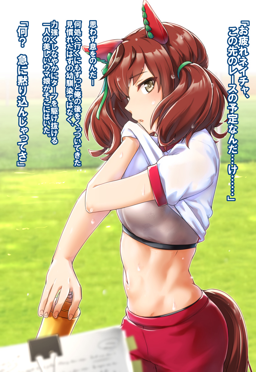 1girl animal_ears bangs blurry blurry_foreground bottle bow breasts brown_eyes brown_hair bush clipboard commentary_request cowboy_shot ear_covers eyebrows_visible_through_hair grass groin gym_uniform hair_between_eyes highres holding holding_bottle horse_ears horse_girl horse_tail kobamiso_(kobalt) lifted_by_self looking_at_viewer medium_breasts multicolored_hair navel nice_nature_(umamusume) outdoors parted_lips profile red_shorts shirt shirt_lift short_sleeves shorts sidelocks solo sports_bra standing stomach streaked_hair sweat tail toned translation_request twintails umamusume water_bottle wet wet_hair white_shirt