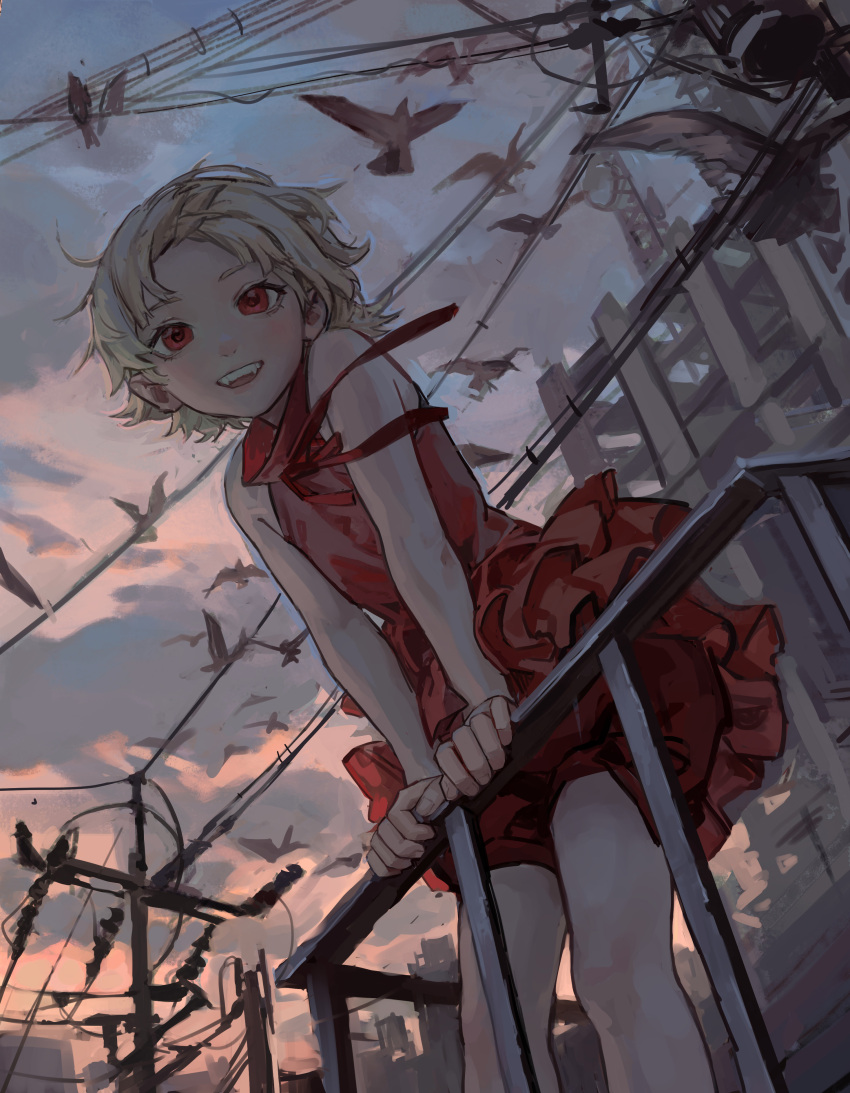 1girl absurdres bird blonde_hair blue_sky cloud dress evening fangs gradient_sky highres monogatari_(series) orange_sky oshino_shinobu power_lines radio_antenna red_dress red_eyes red_ribbon ribbon short_hair sky solipsist solo utility_pole vampire