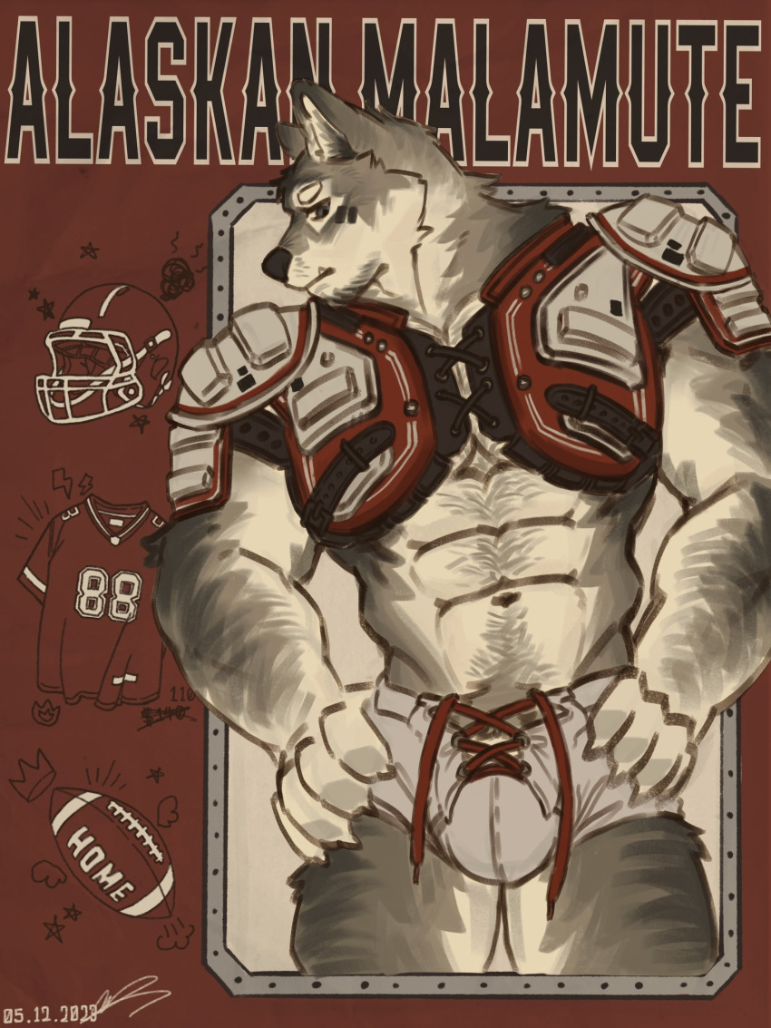 alaskan_malamute anthro athletic athletic_gear bulge canid canine canis domestic_dog football_gear football_helmet football_player hi_res male mammal muscular nordic_sled_dog protective_gear qwertyuiop4082 simple_background solo spitz