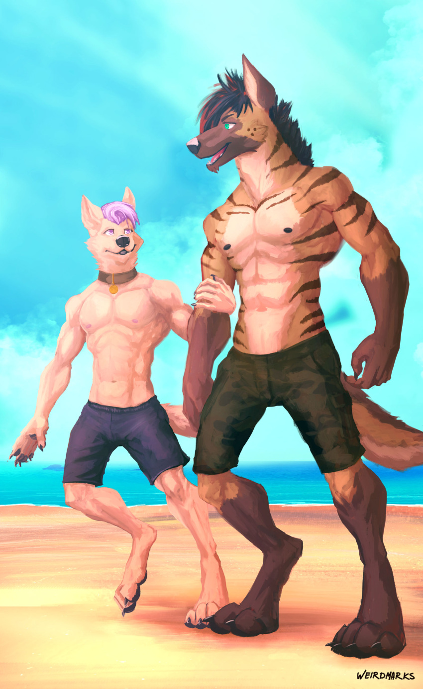 absurd_res anthro beach bottomwear canid canine canis clothed clothing digital_media_(artwork) duo fur hi_res hyaenid male male/male mammal outside pecs sand seaside shorts sky smile striped_hyena weirdmarks wolf zan zanhyena