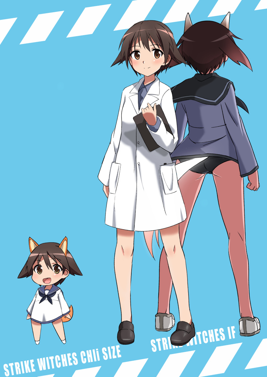 3girls absurdres animal_ears back-to-back black_legwear black_neckwear black_sailor_collar blue_background brown_eyes brown_hair chibi clipboard dog_ears dog_tail dress dual_persona highres labcoat looking_at_viewer miyafuji_yoshika multiple_girls neckerchief sailor_collar sailor_shirt school_swimsuit shirt short_hair strike_witches swimsuit swimsuit_under_clothes tail tricky_46 world_witches_series
