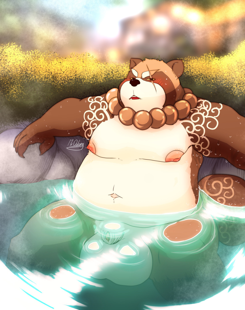 2021 absurd_res anthro balls big_balls blush brown_body brown_fur canid canine english_text flaccid fur genitals gyobu hi_res hot_spring humanoid_hands male mammal moobs mr_oolong nipples onsen outside overweight overweight_male penis raccoon_dog scar sitting solo tanuki text tokyo_afterschool_summoners video_games water