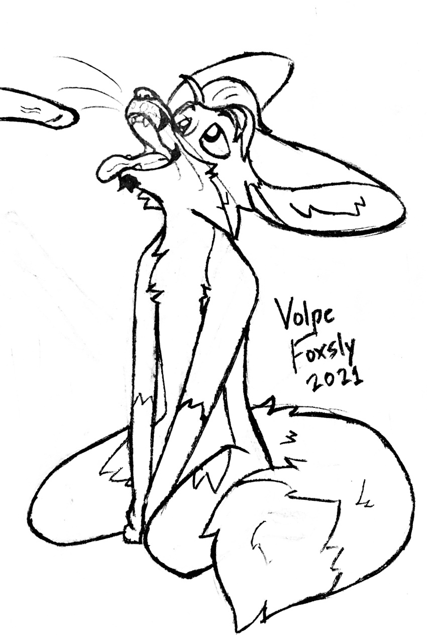 absurd_res ambiguous_gender anthro big_ears big_tail canid canine eager fluffy fox genitals graphite_(artwork) hand_between_legs hi_res humanoid kneeling male male/male mammal open_maw open_mouth paper pencil_(artwork) penis raised_head red_fox sketch solo tongue tongue_out traditional_media_(artwork) vein veiny_penis volpe_foxsly whiskers