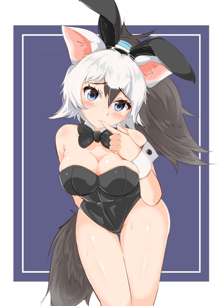 1girl aardwolf_(kemono_friends) aardwolf_ears aardwolf_tail animal_ears arm_behind_back bare_arms bare_legs bare_shoulders black_bow black_hair black_leotard blue_eyes blush bow bowtie breasts bunny_ears bunny_girl cleavage closed_mouth commentary_request detached_collar eyebrows_visible_through_hair fake_animal_ears finger_to_mouth furrowed_eyebrows grey_hair hair_between_eyes hairband hand_up head_tilt high_ponytail highleg highleg_leotard highres kemono_friends leaning_forward leotard long_hair looking_at_viewer medium_breasts multicolored_hair nose_blush playboy_bunny ponytail shiny shiny_skin solo strapless strapless_leotard sweat tail thigh_gap two-tone_hair wonderful_waon wrist_cuffs