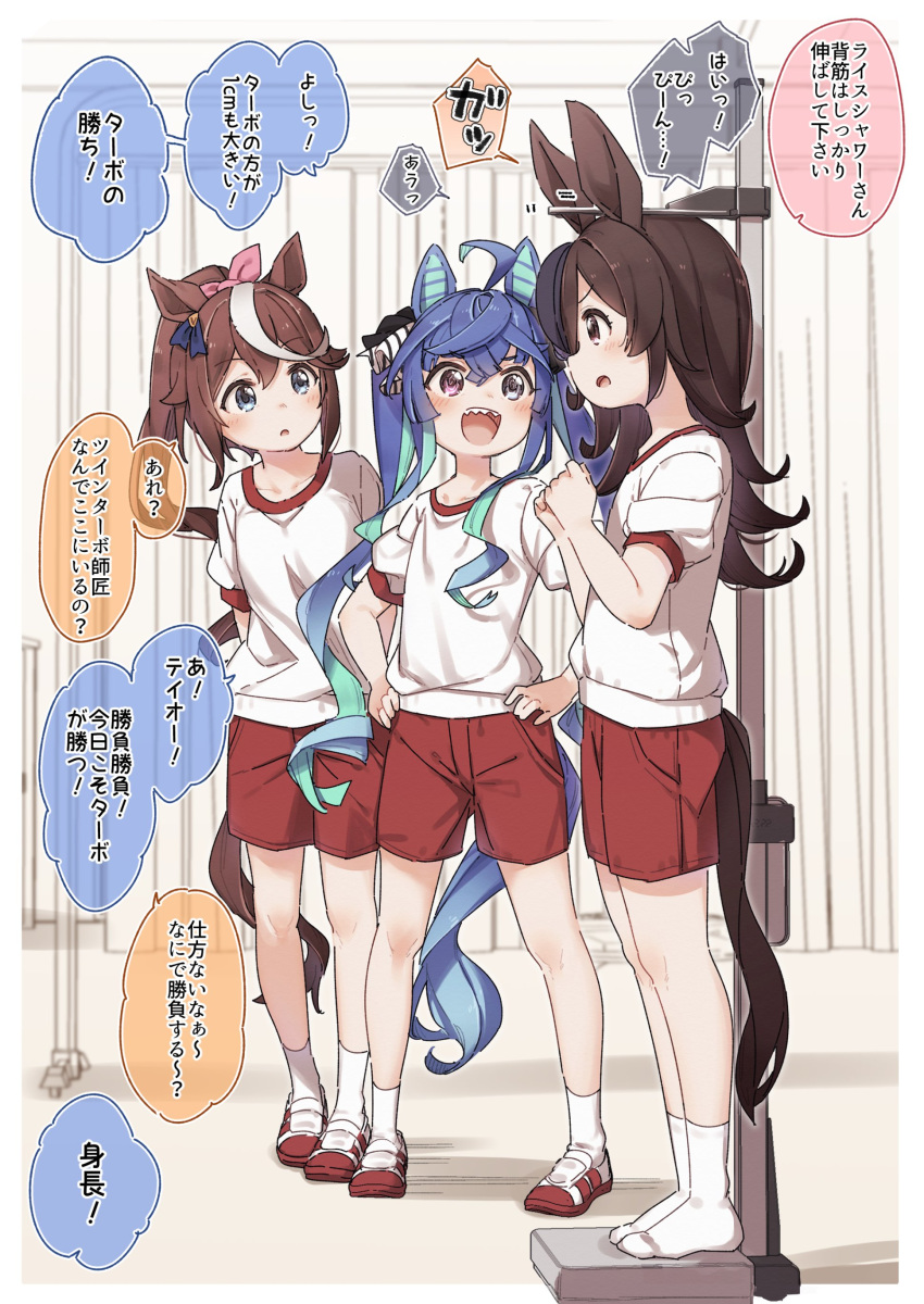 3girls :d :o absurdres ahoge animal_ears bangs black_headwear blue_eyes blue_flower blue_hair blue_rose blush breasts brown_hair commentary_request eyebrows_visible_through_hair flower gym_shirt gym_shorts gym_uniform hair_between_eyes hair_over_one_eye hair_ribbon hands_on_hips hat hat_flower heterochromia highres horse_ears horse_girl horse_tail long_hair multicolored_hair multiple_girls no_shoes open_mouth parted_lips pink_ribbon ponytail profile puffy_short_sleeves puffy_sleeves purple_eyes red_shorts ribbon rice_shower_(umamusume) rose sharp_teeth shirt shoes short_shorts short_sleeves shorts small_breasts smile socks standing streaked_hair tail teeth tilted_headwear tokai_teio_(umamusume) translation_request twin_turbo_(umamusume) twintails umamusume uwabaki v-shaped_eyebrows very_long_hair white_footwear white_hair white_legwear white_shirt yukie_(kusaka_shi)