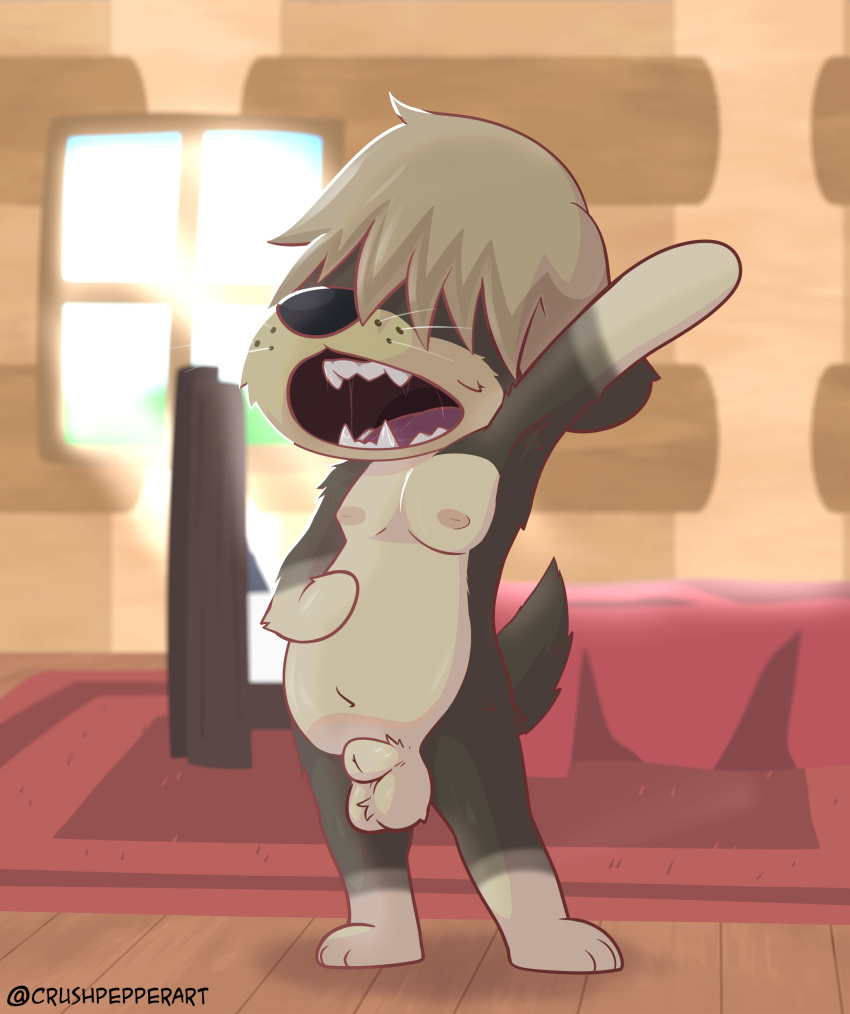 absurd_res animal_crossing animal_genitalia anthro balls bedroom bodily_fluids canid canine canis casual_nudity crushpepper domestic_dog fully_sheathed fur genitals grey_body grey_fur hair_over_eyes herding_dog hi_res male mammal morning nintendo nipples nude open_mouth pastoral_dog saliva sheath sheepdog shep_(animal_crossing) solo stretching video_games yawn