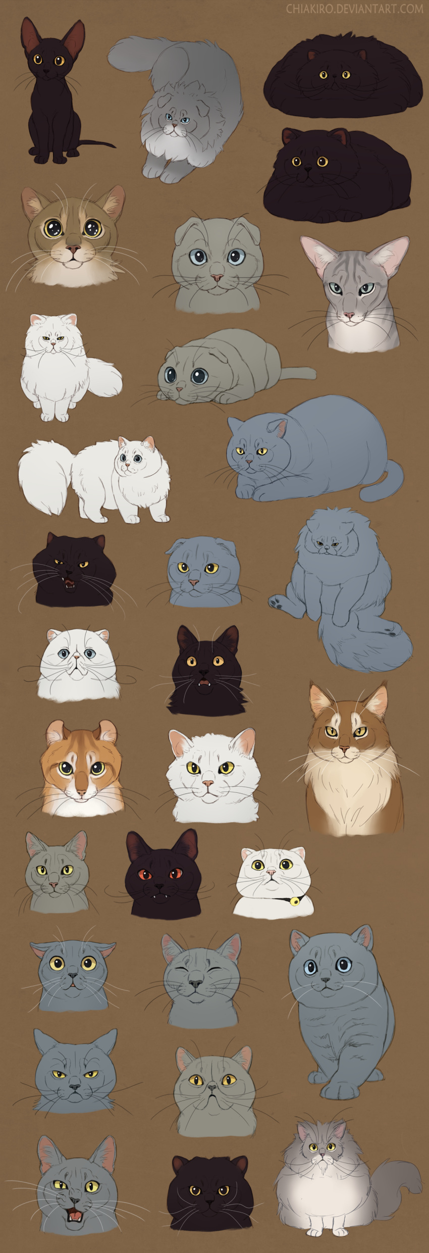 2018 absurd_res ambiguous_gender bell black_body black_fur blue_eyes brown_background brown_body brown_fur chiakiro collar domestic_cat eyes_closed fangs felid feline felis feral fluffy fluffy_tail fur grey_body grey_fur headshot_portrait hi_res inner_ear_fluff looking_at_viewer mammal open_mouth pawpads portrait red_eyes sharp_teeth simple_background sitting teeth tongue tuft waking whiskers white_body white_fur yellow_eyes